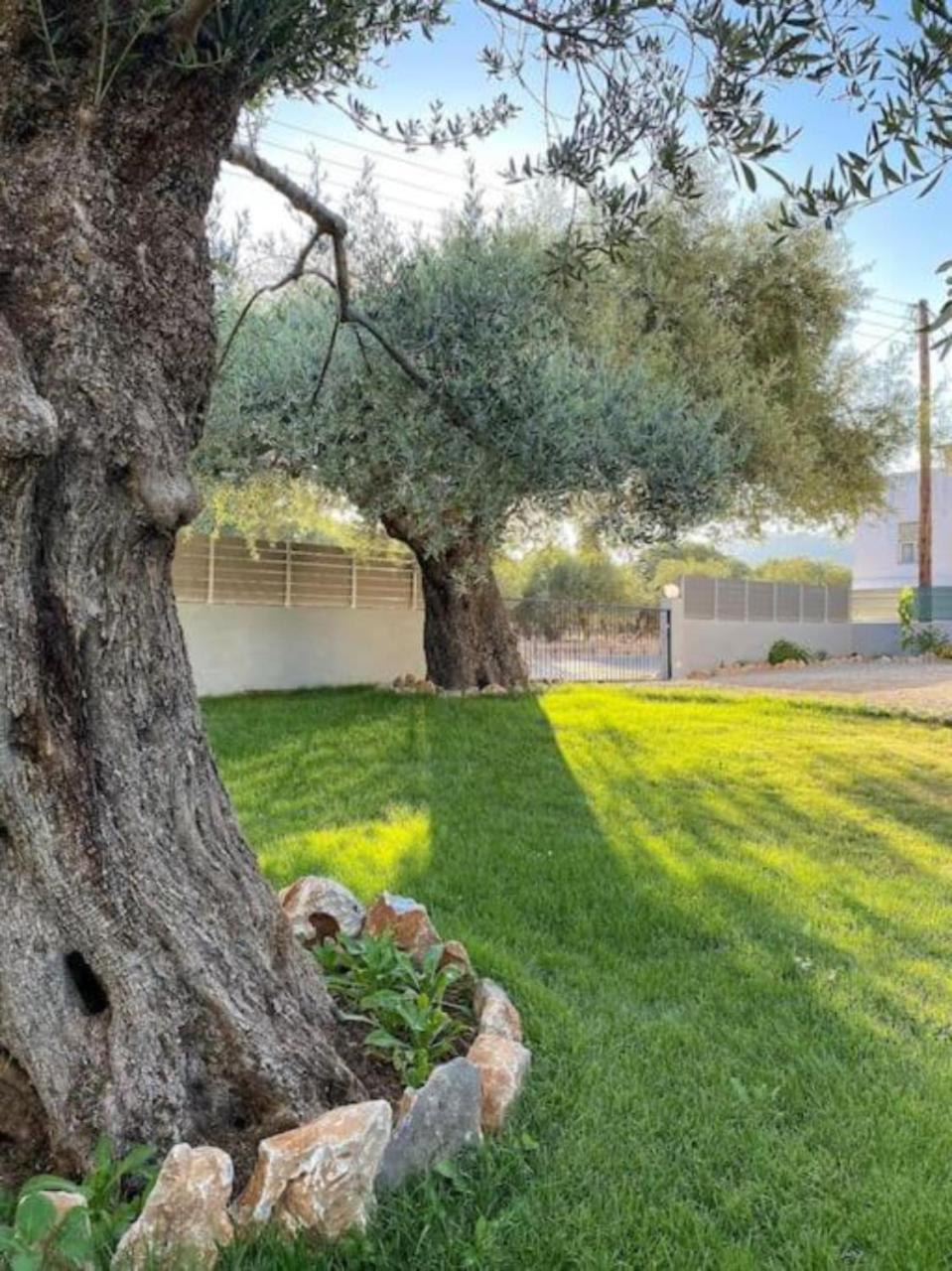 Olives Villa Sinoikismos Kambos Exterior photo