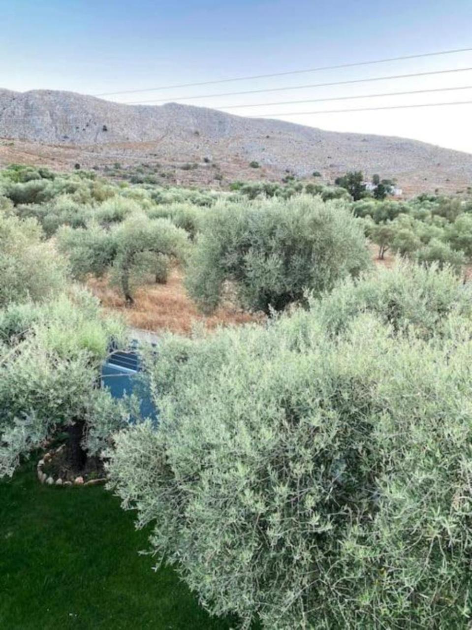 Olives Villa Sinoikismos Kambos Exterior photo